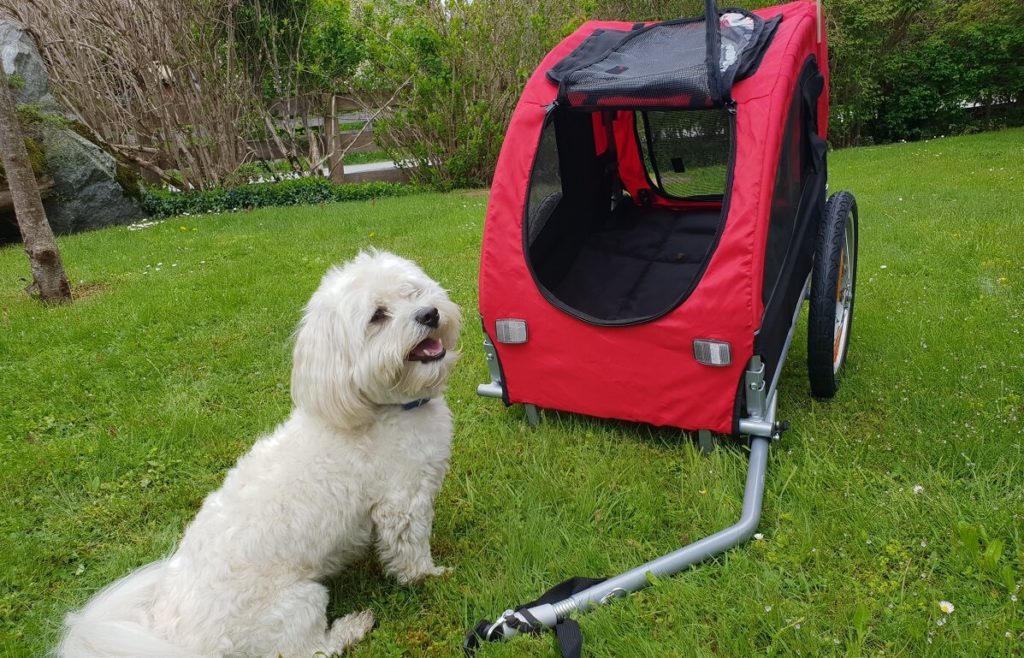 Hunde-Anhänger fürs Fahrrad im Test » DER HUND