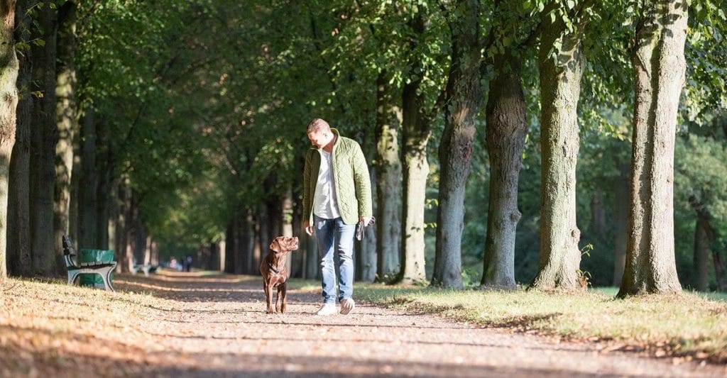 Hundeversicherung beim Spazieren