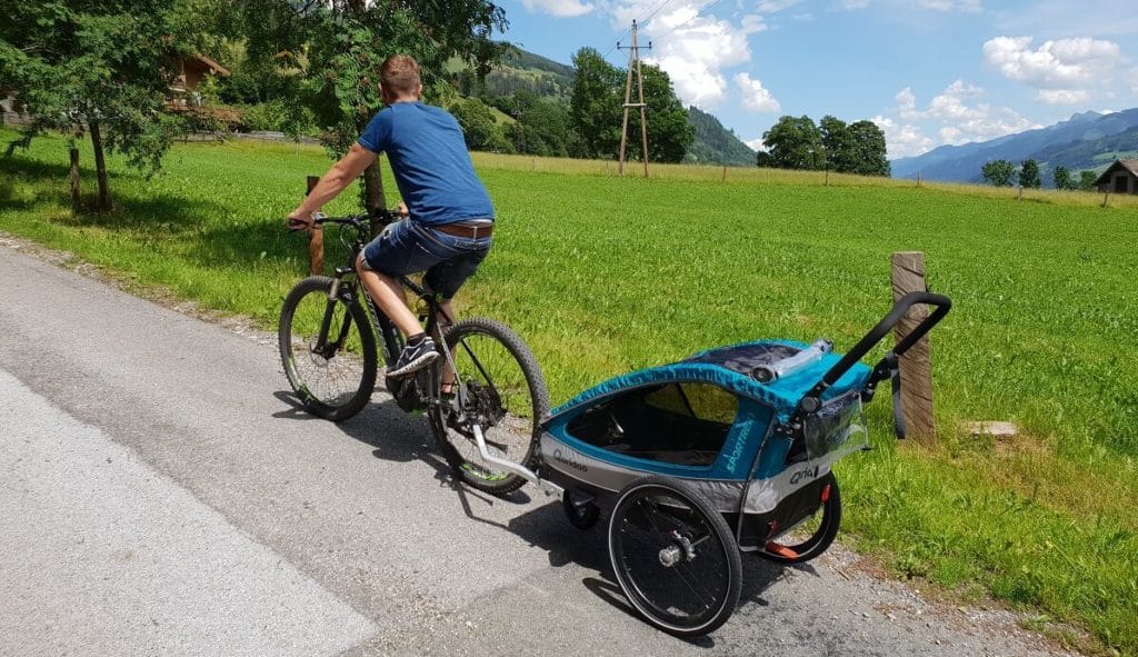 Fahrradanhänger Test: Vergleich & Testsieger 2024