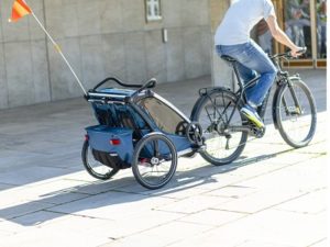 Thule Chariot 2 2021