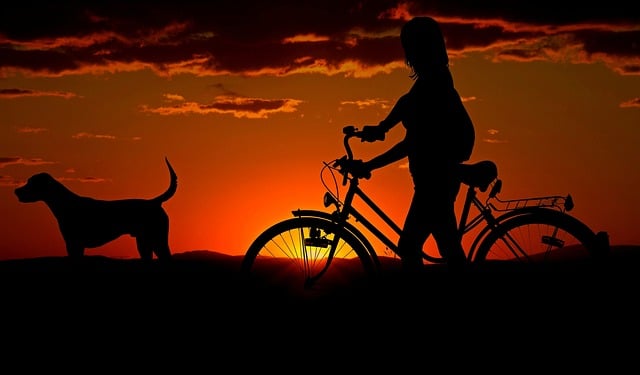 Fahrradhalter für Hunde - Leinenhalterung für Fahrrad und E-Bike