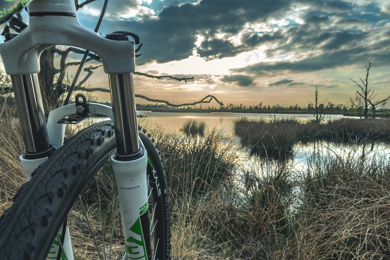 nature, mountainbike, wheel