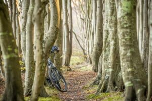 bike, travel, nature, trees, outdoors, bike, bike, bike, bike, bike