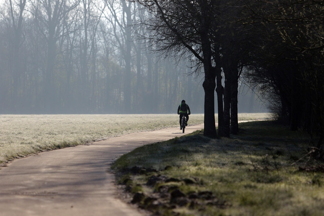 river floodplain, neckar, neckar fog, morning mist, riverbank, aue, riverside, idyll, river landscape, beautiful, reflection, waters, watercourse, nature, cyclist