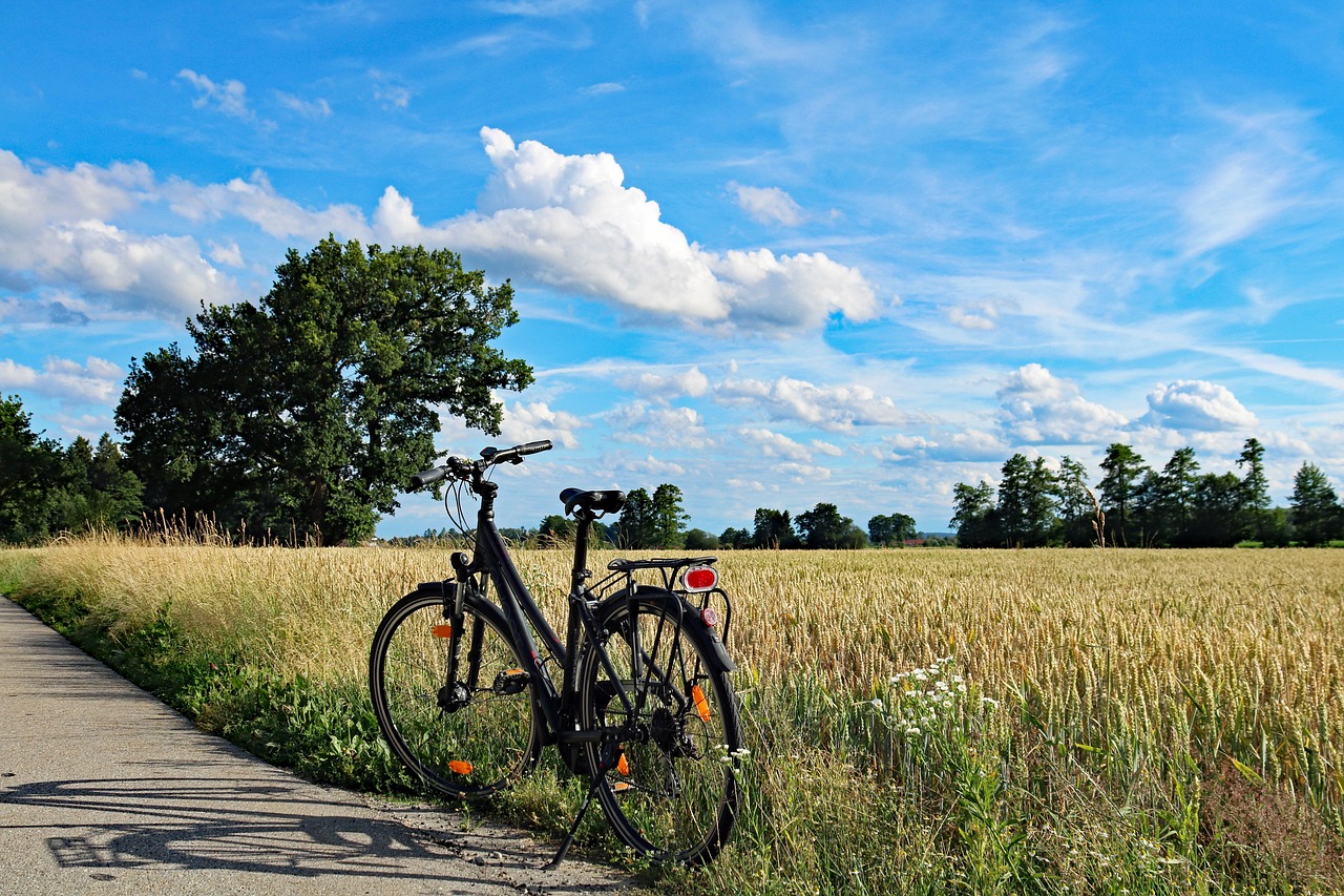 summer, bicycle, cycling tour, bike trip, bicycle trip, wheel, nature, leisure time